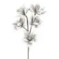 WINTERSWEET FLOWER X5 SZARY Ø 20X96 MIN 8 cm